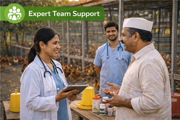 Expert team support